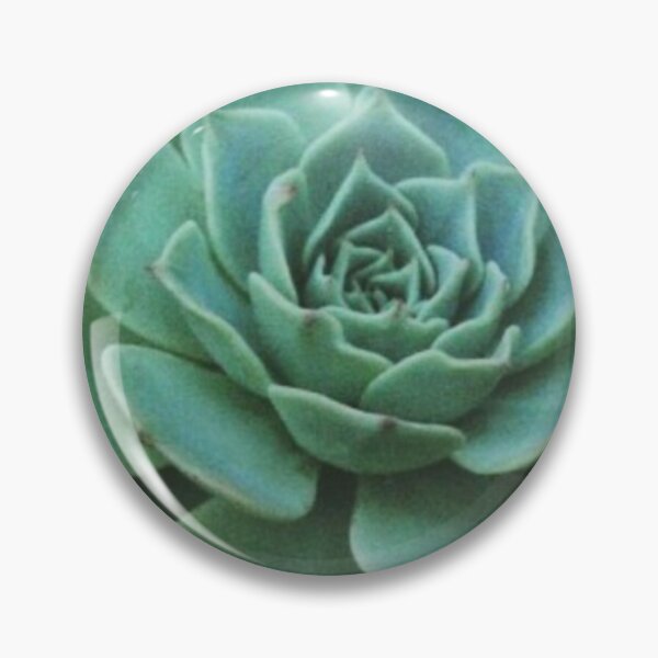 Item preview, Cute Succulent! designed and sold by DoodleDashCollective.