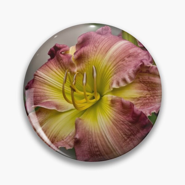 Item preview, "Wisteria" Daylily designed and sold by Michael Cummings.