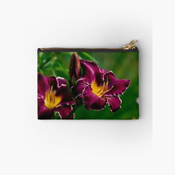 Item preview, "Thundering Ovation" Daylily designed and sold by Michael Cummings.