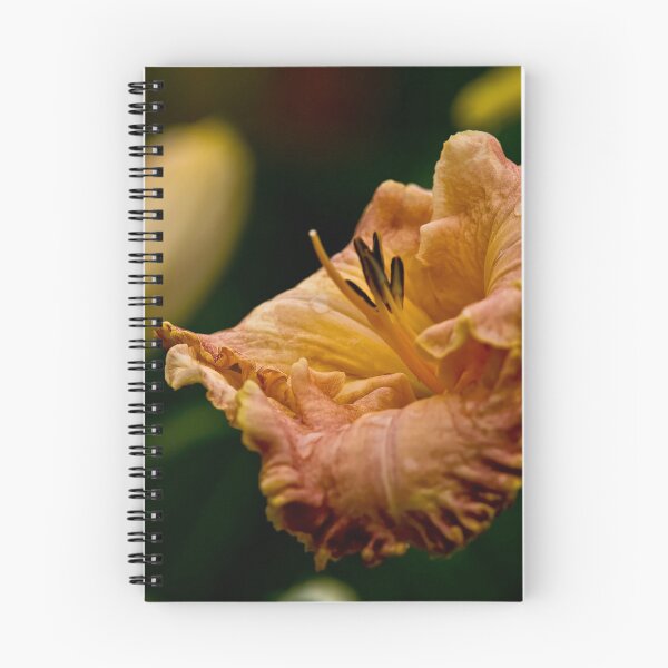 Item preview, "Inherited Wealth" Daylily designed and sold by Michael Cummings.