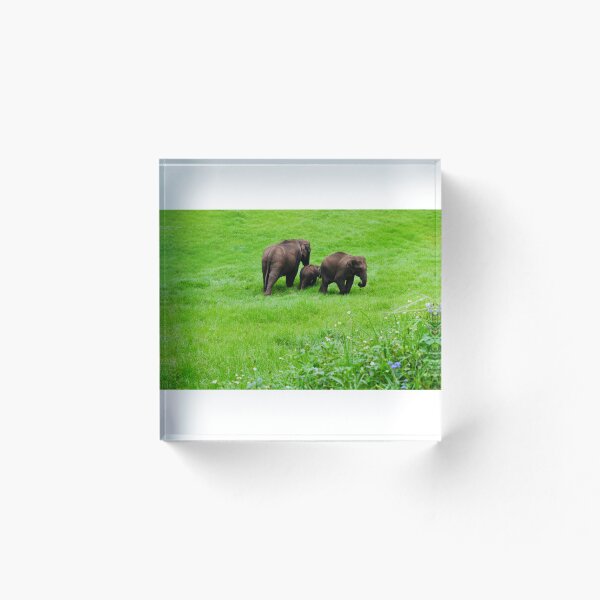 Item preview, Wild elephants grazing designed and sold by Allenapparels.