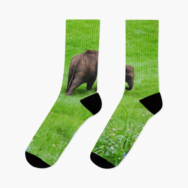 Item preview, Wild elephants grazing designed and sold by Allenapparels.