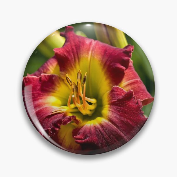 Item preview, "Dragon King" Daylily designed and sold by Michael Cummings.