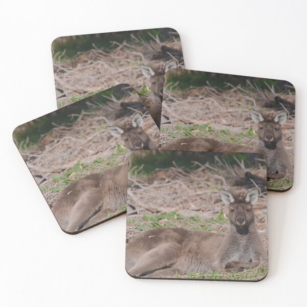 Item preview, Resting Australian kangaroo  designed and sold by hendrikspix.