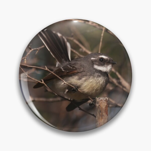 Item preview, Grey fantail bird designed and sold by hendrikspix.
