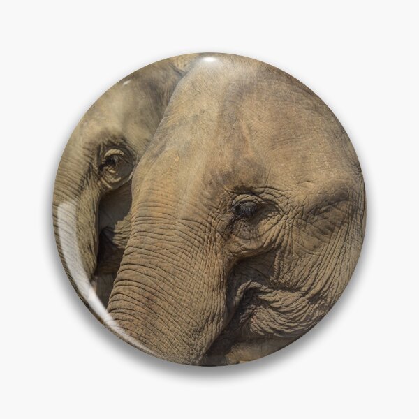 Item preview, Laos. Mandalao Elephant Conservation. Elefantes designed and sold by vadim19.