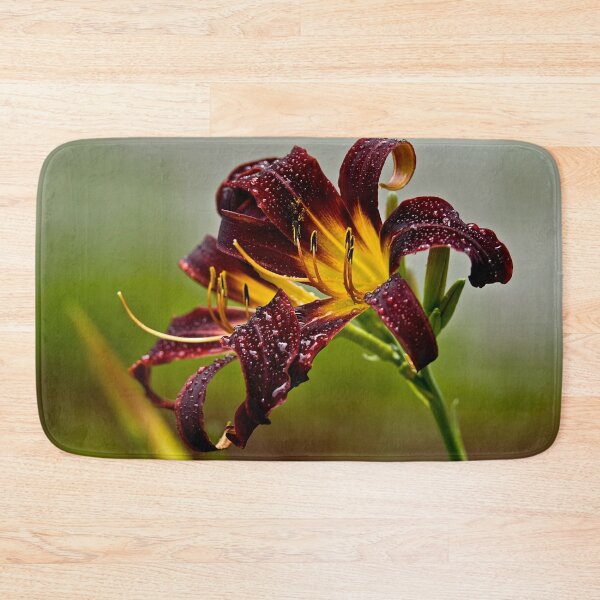 Item preview, "Black Plush" Daylily designed and sold by Michael Cummings.