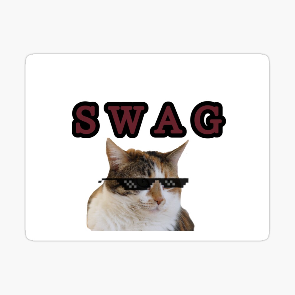 Badge Chat Swag Portant Des Lunettes Swag Par Walerite Redbubble