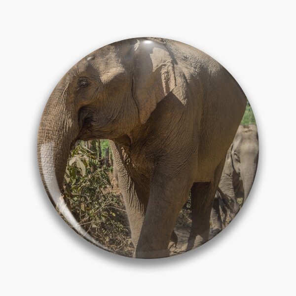 Item preview, Laos. Mandalao Elephant Conservation. Elefantes caminando designed and sold by vadim19.