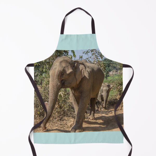 Item preview, Laos. Mandalao Elephant Conservation. Elefantes caminando designed and sold by vadim19.
