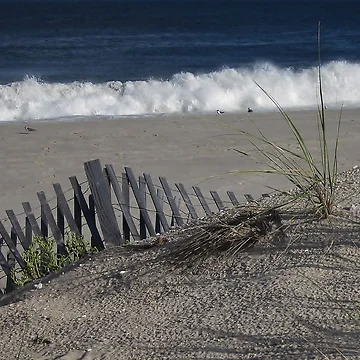 Artwork thumbnail, September Surf by RVogler