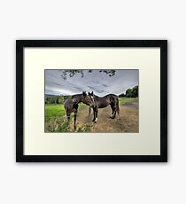 My Sweet Neighbor... Framed Print