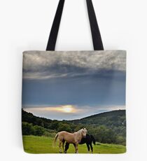 By the end of the day... Tote Bag