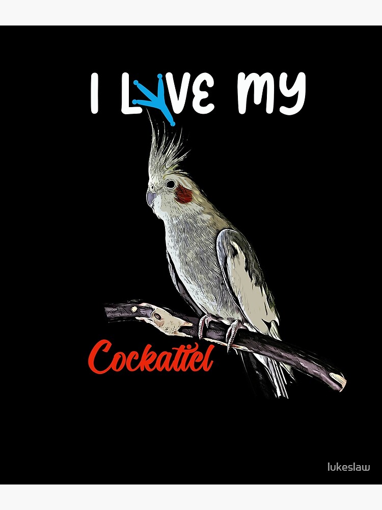 cockatiel dad funny bird lover men t shirt men - Buy t-shirt designs