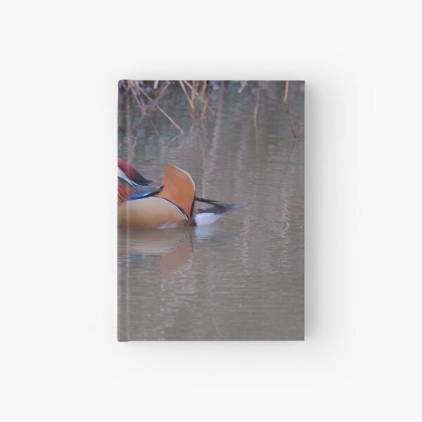 Aix galericulata Hardcover Journal