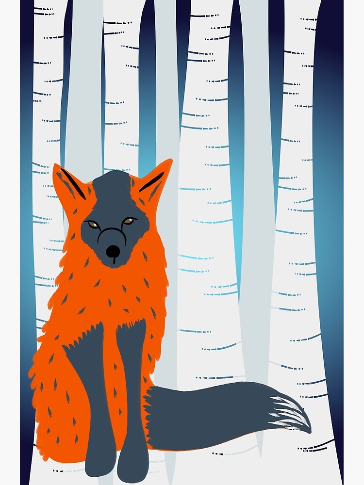 Melanistic Red Fox, Birch Trees Background by awkwarddesignco