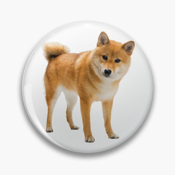 Item preview, Shiba! designed and sold by DoodleDashCollective.