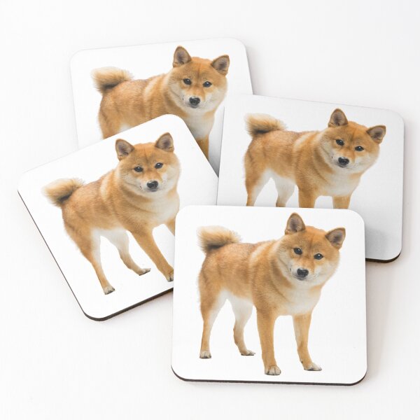 Item preview, Shiba! designed and sold by DoodleDashCollective.