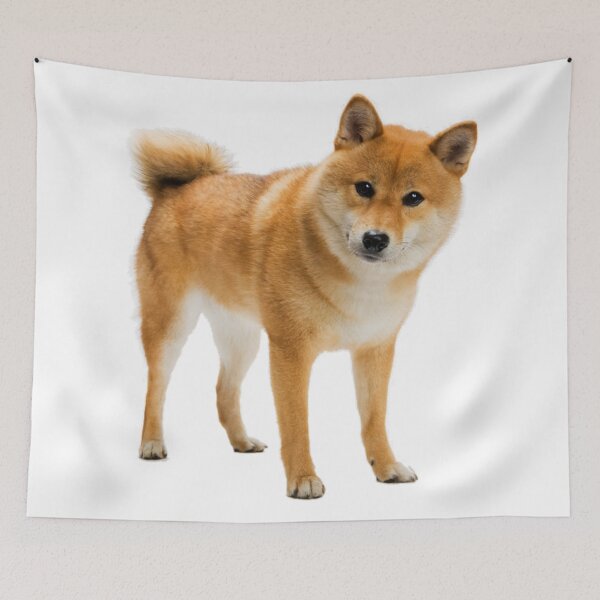 Item preview, Shiba! designed and sold by DoodleDashCollective.