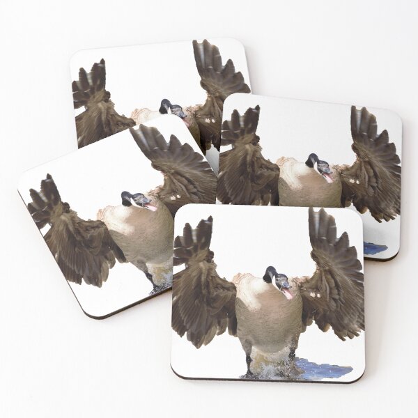 Item preview, Wild Canadian goose designed and sold by Ericyaw.