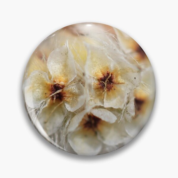 Item preview, Hairy Beauty designed and sold by cuprum.
