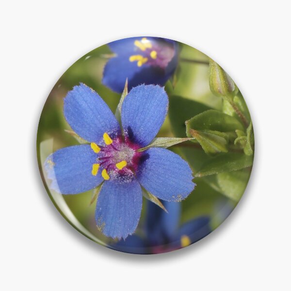Item preview, Blue-scarlet Pimpernel designed and sold by cuprum.