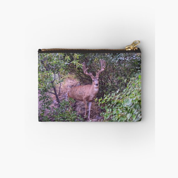 Item preview, Backyard Buck designed and sold by Dana Hardy.