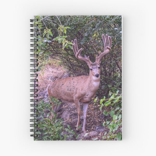 Item preview, Backyard Buck designed and sold by Dana Hardy.