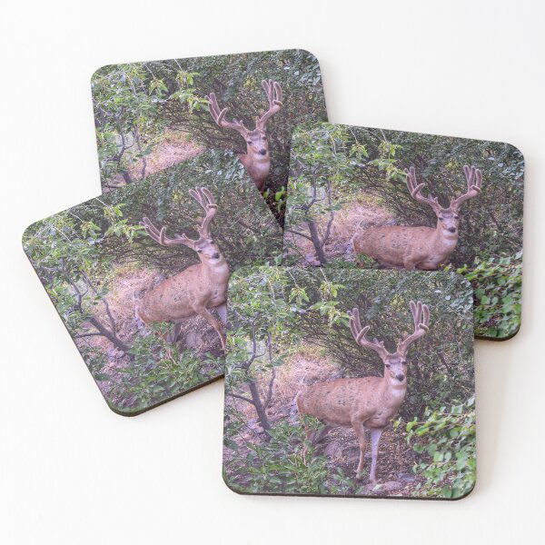 Item preview, Backyard Buck designed and sold by Dana Hardy.