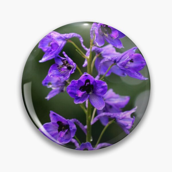 Item preview, Larkspur designed and sold by cuprum.