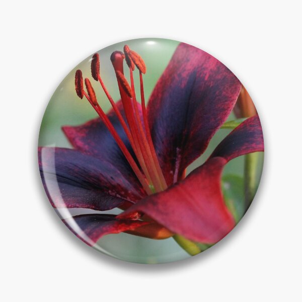 Item preview, Lily designed and sold by cuprum.