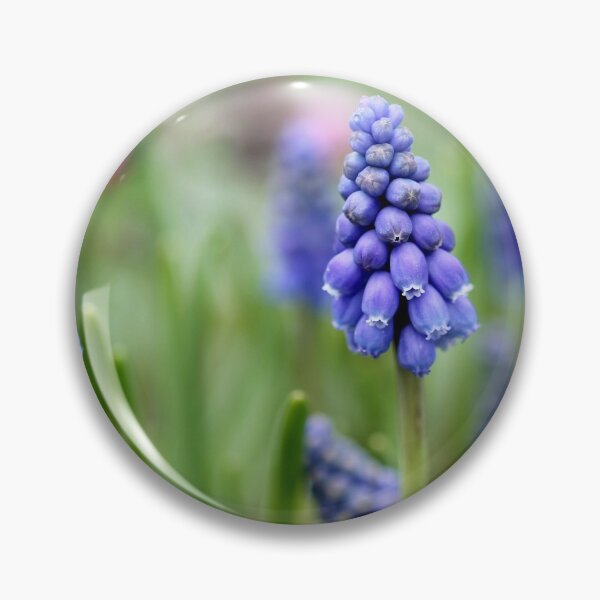 Item preview, Grape hyacinth designed and sold by cuprum.
