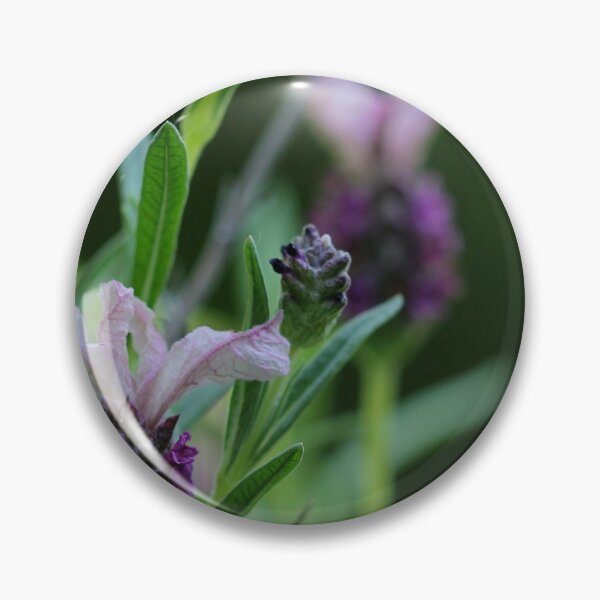 Item preview, Lavandula Stoechas designed and sold by cuprum.