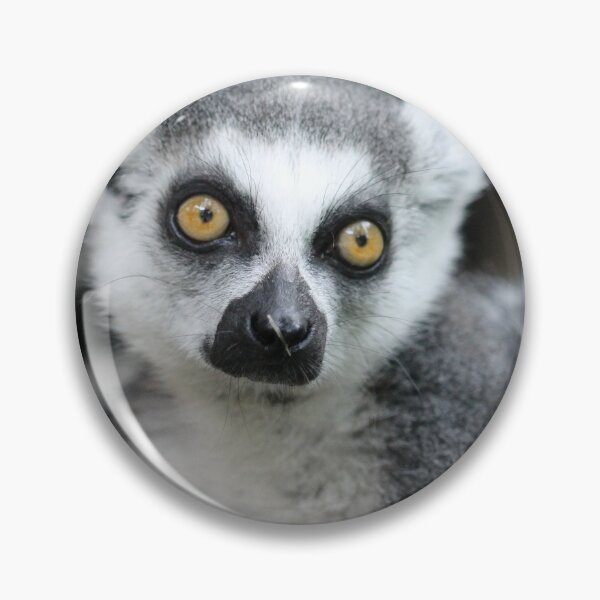 Item preview, The Stare designed and sold by cuprum.