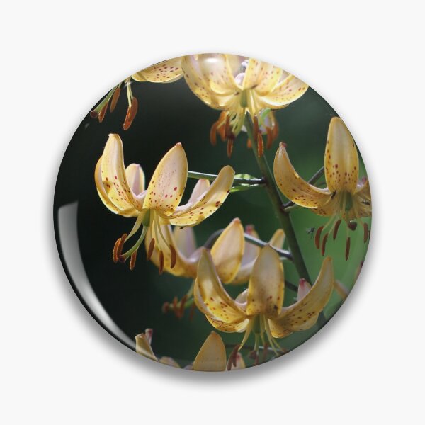 Item preview, Elegance designed and sold by cuprum.