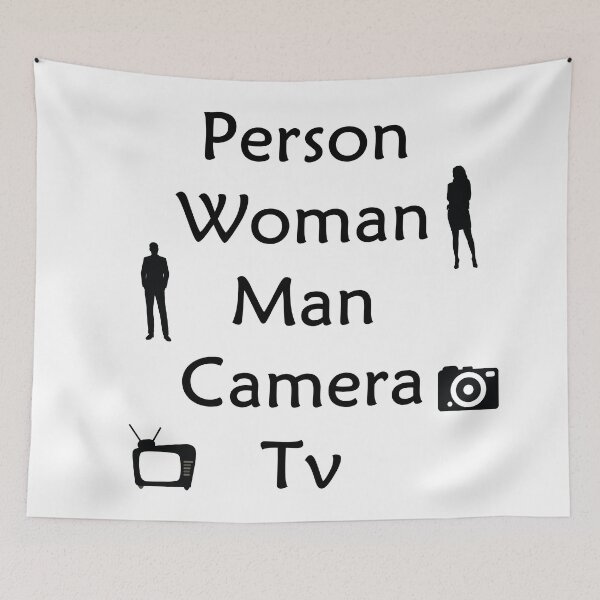 Item preview, Person Woman Man Camera Tv designed and sold by gharbi.