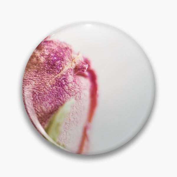 Item preview, Macro Photograph of a dried pink rose bud designed and sold by mynameisblank.