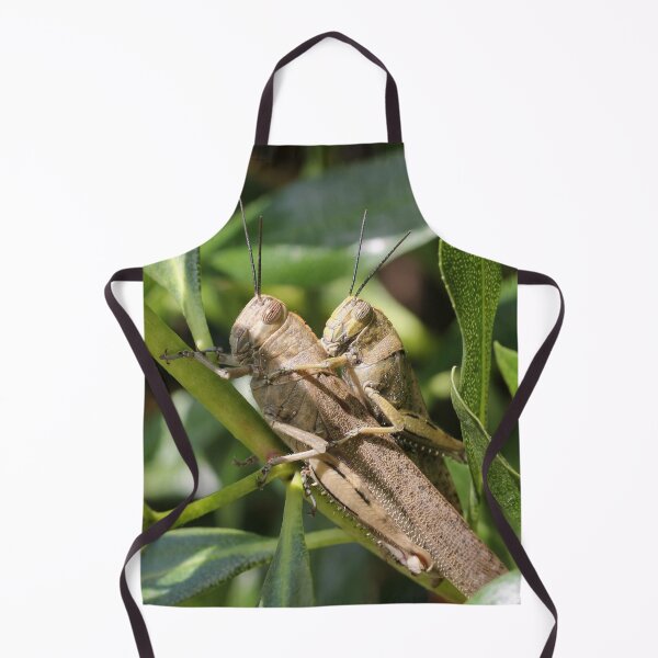 Item preview, Hop Along! designed and sold by cuprum.