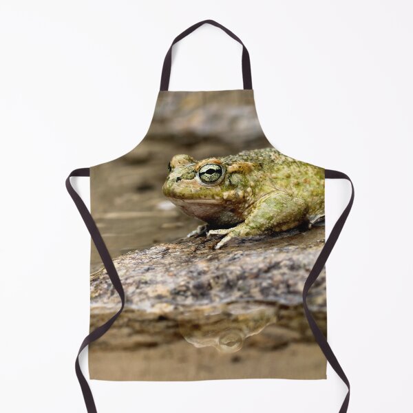 Item preview, Mr. Frog designed and sold by cuprum.