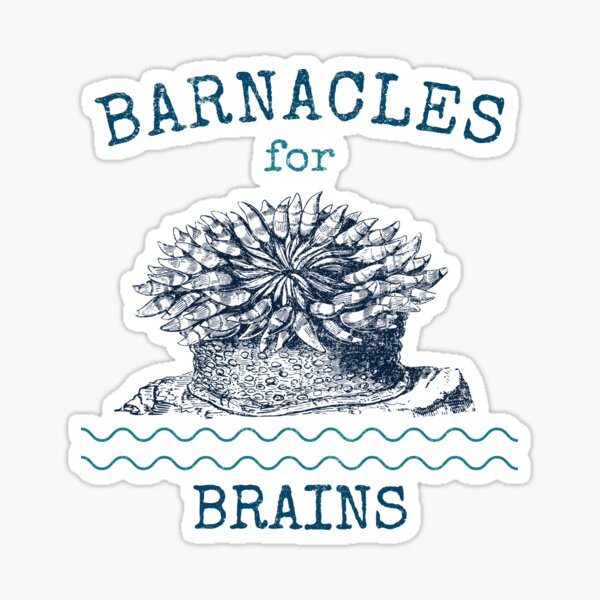 Item preview, Barnacles for Brains Funny Print designed and sold by FortuneTee.