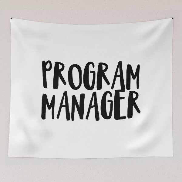 Item preview, Program Manager designed and sold by EvyStickersx.