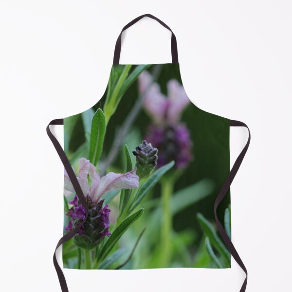 Artikelvorschau, Lavandula Stoechas entworfen und verkauft von cuprum.
