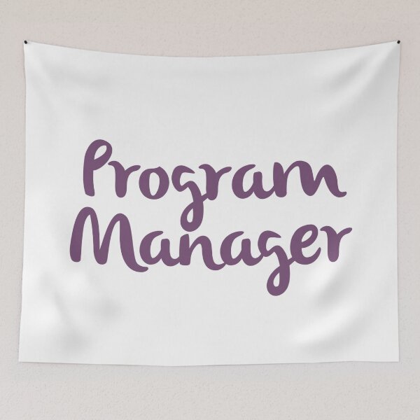 Item preview, Program Manager designed and sold by EvyStickersx.