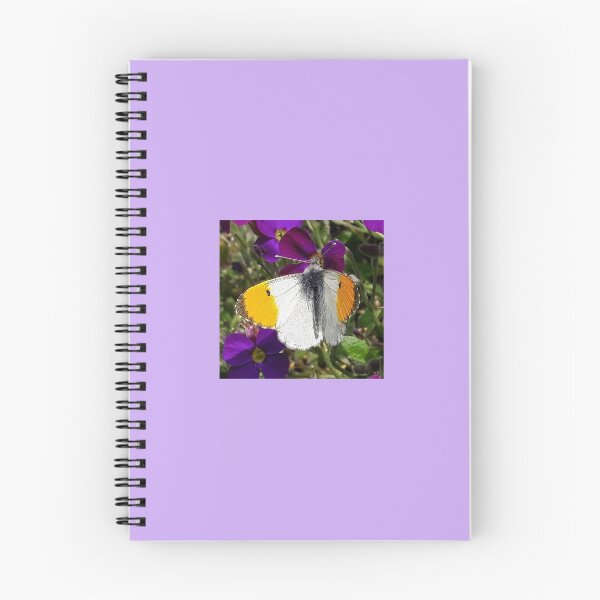 Item preview, Orange Tip designed and sold by Bonni-Dee.