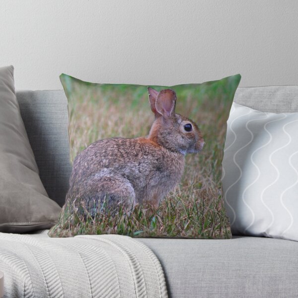 Cottontail Bunny Rabbit Throw Pillow