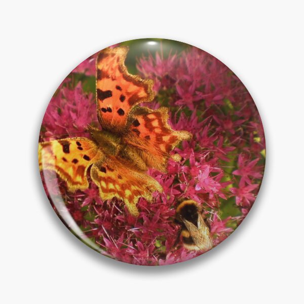 The odd couple Pin