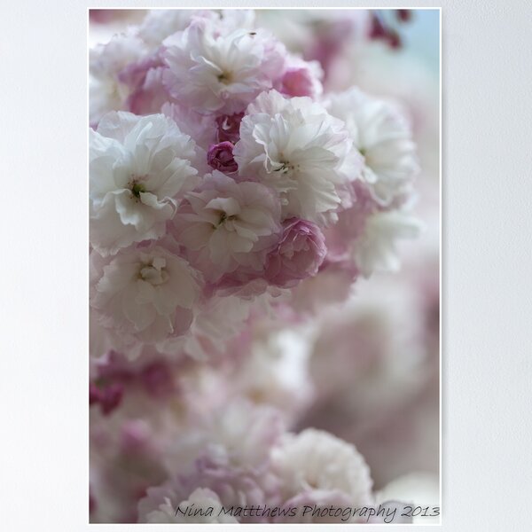 Item preview, Elegant ......... designed and sold by Nina  Matthews Photography.