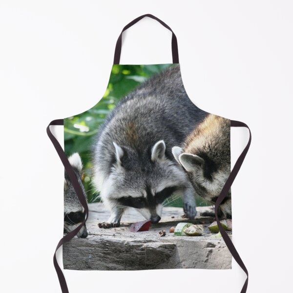 Item preview, Raccoon 002 designed and sold by JAMFoto.