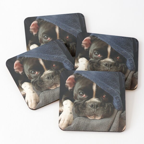 Item preview, Not Monday Again Boxer Dog designed and sold by Dittsim.