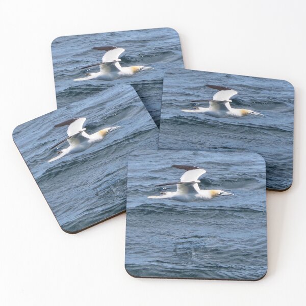 Item preview, The stunning gannet at Cantick Head Lighthouse on the beautiful Orkney island of Hoy in Scotland designed and sold by Alan Mackinnon.